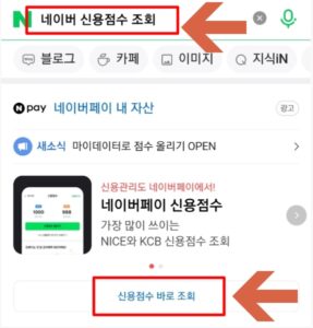 네이버 신용점수 조회