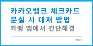 카카오뱅크 체크카드 분실 시 대처 방법